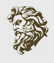 Zeus-System